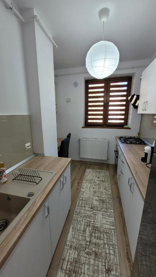 Andy Apartament Petroşani Εξωτερικό φωτογραφία