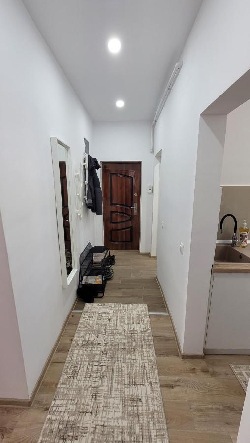 Andy Apartament Petroşani Εξωτερικό φωτογραφία